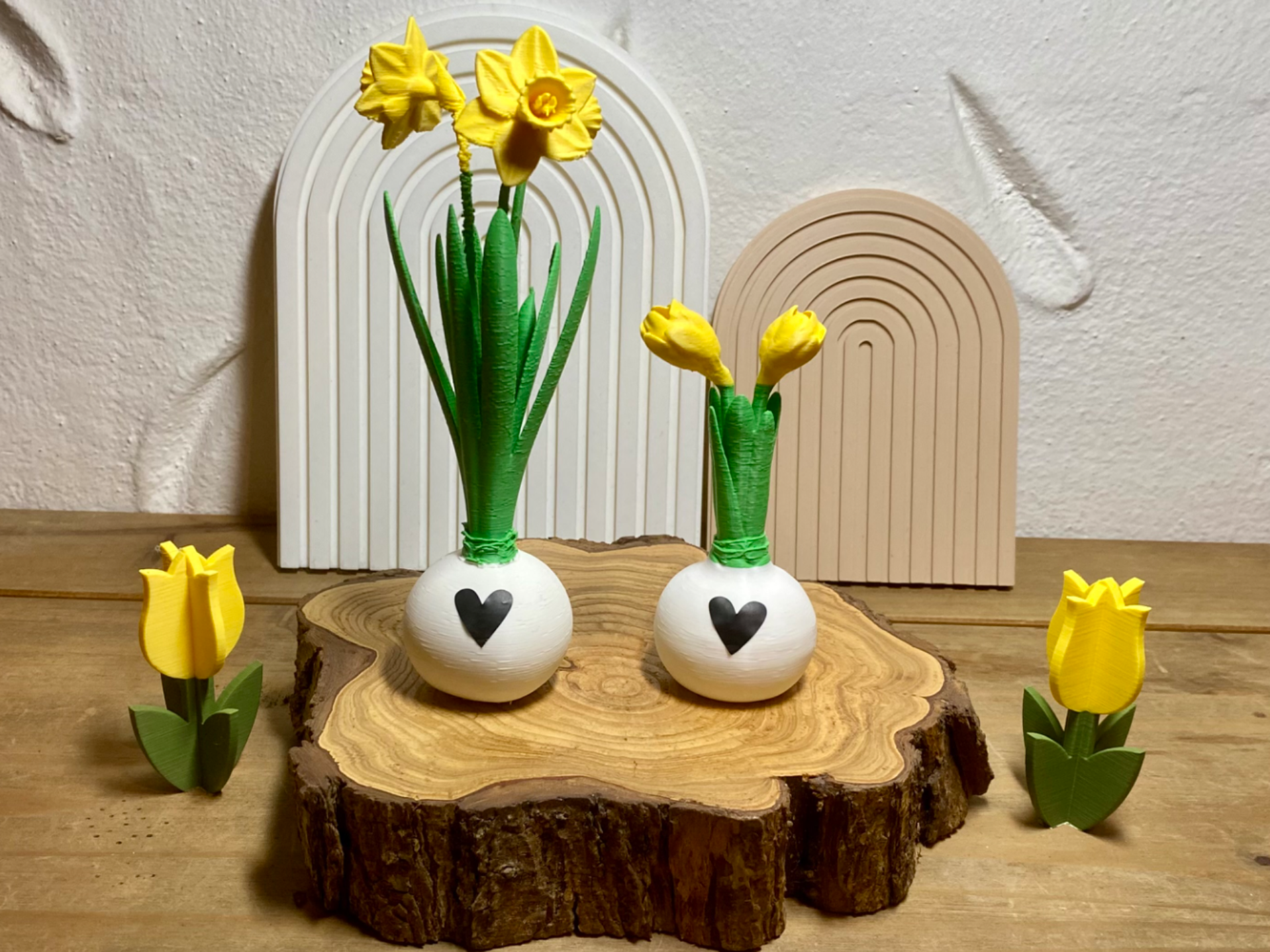 Narzisse Blume mit Zwiebel