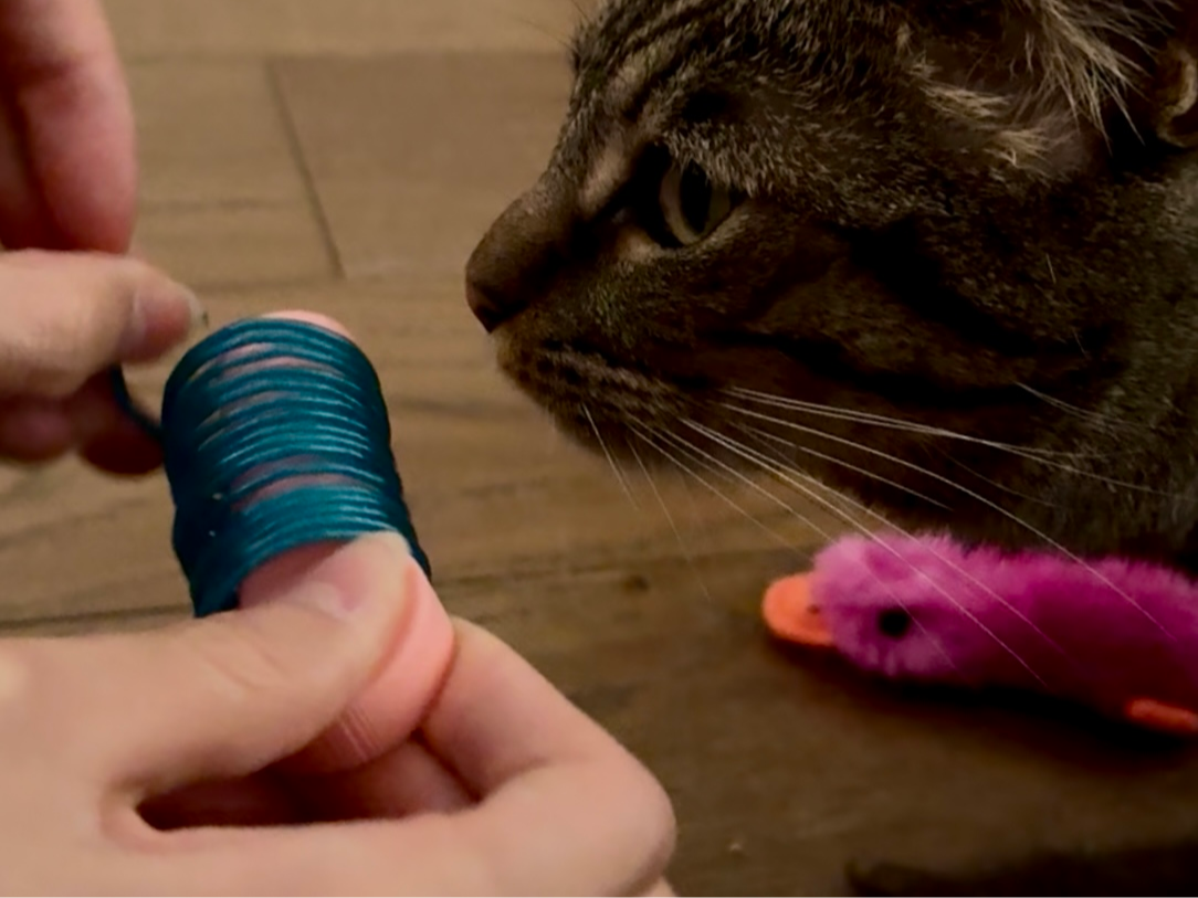 Cat Toy Spring Maker From Filament 2 Sizes Tool