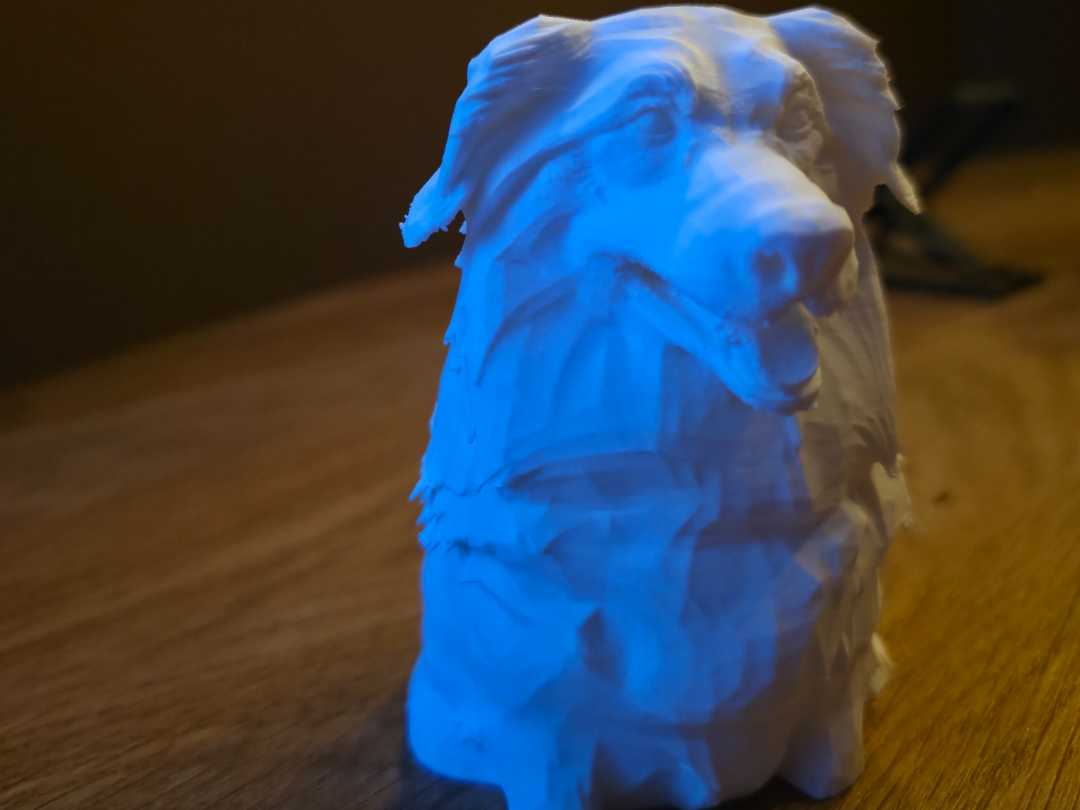 Australian Shepherd Bust