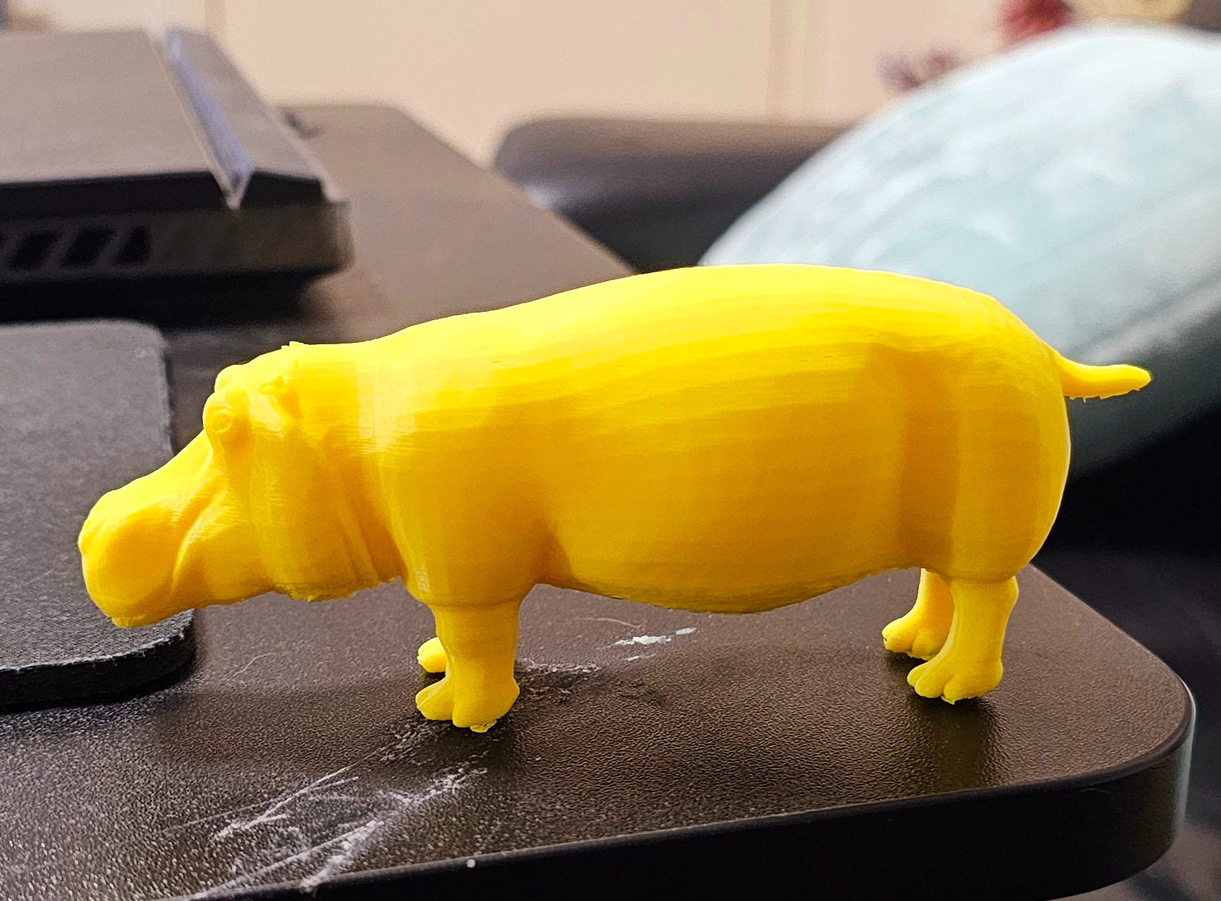 Hippopotamus