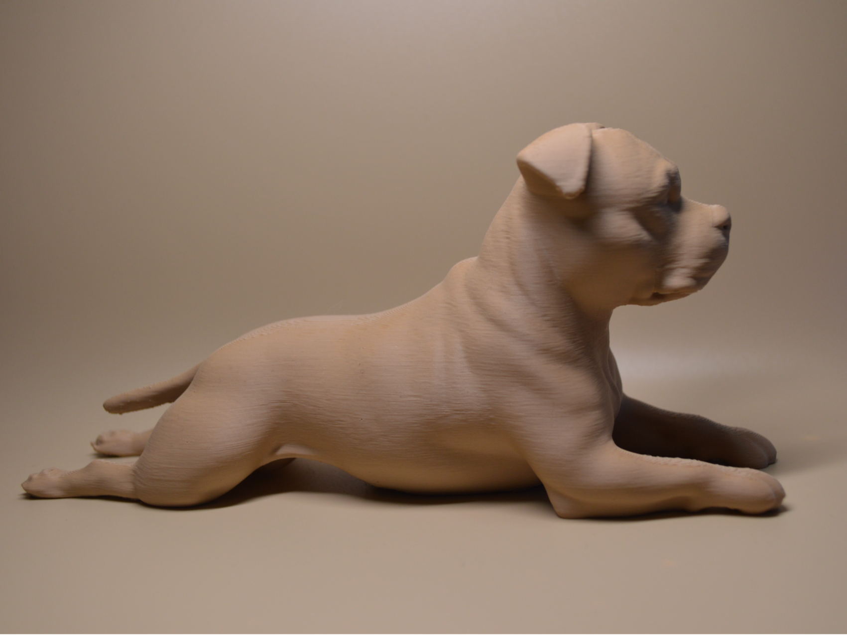 Laying staffy