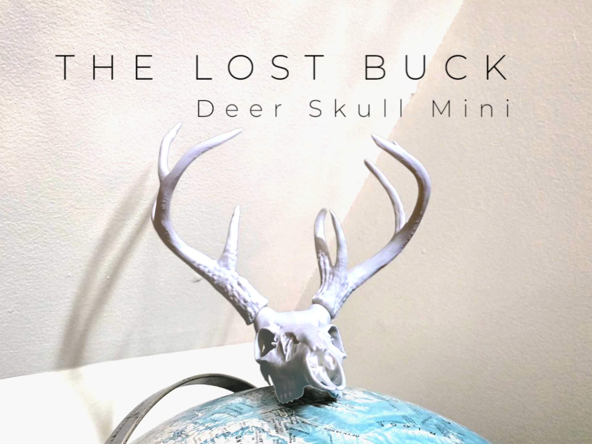 The Lost Buck - Deer Skull Mini