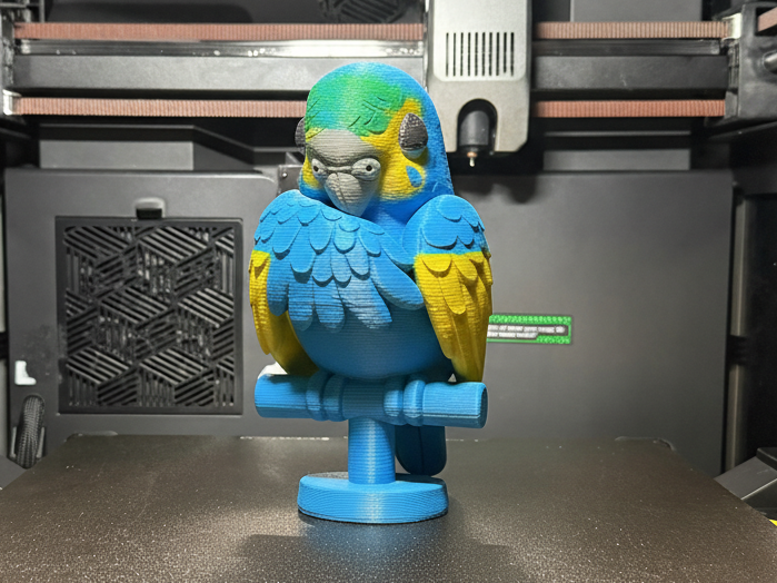 Cute Parakeet Sleeping Cute Parakeet Sleeping
