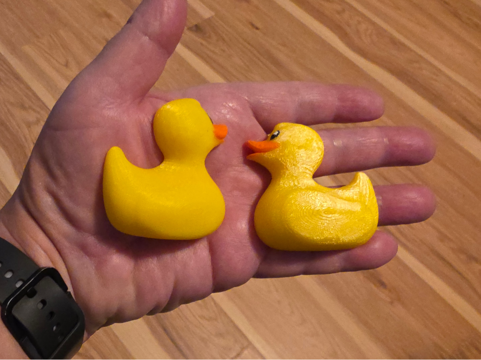 Magnetic Half Ducks