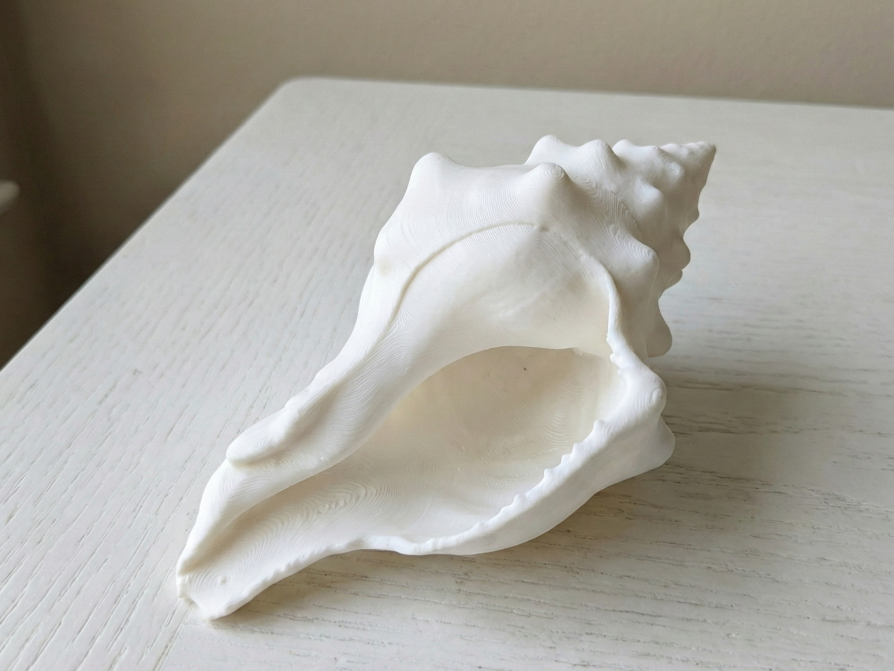 Realistic Spiral Conch Shell - Ocean Decor