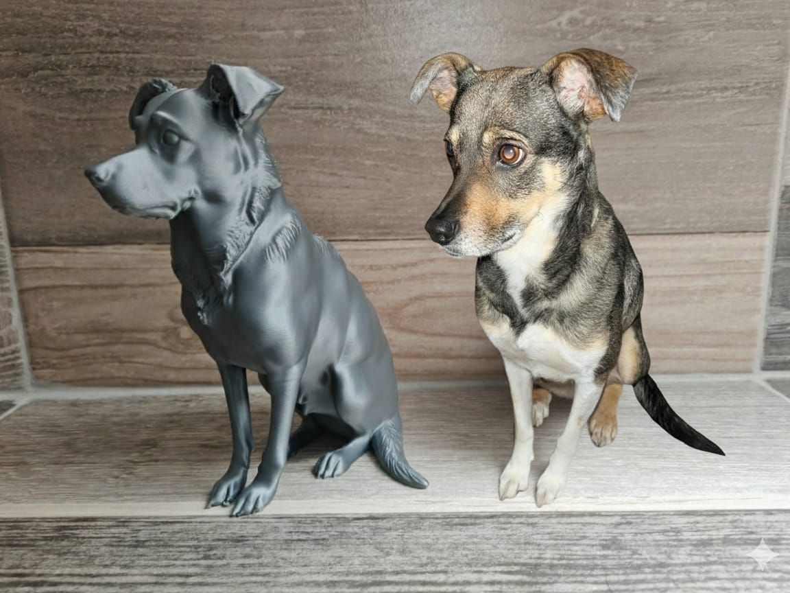 Dog Blue Hund