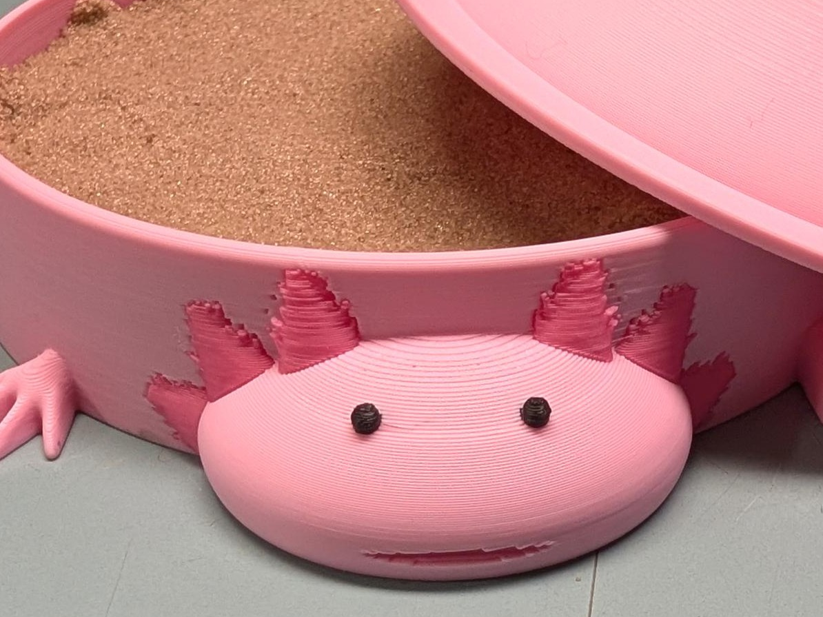 Axolotl Sandbox