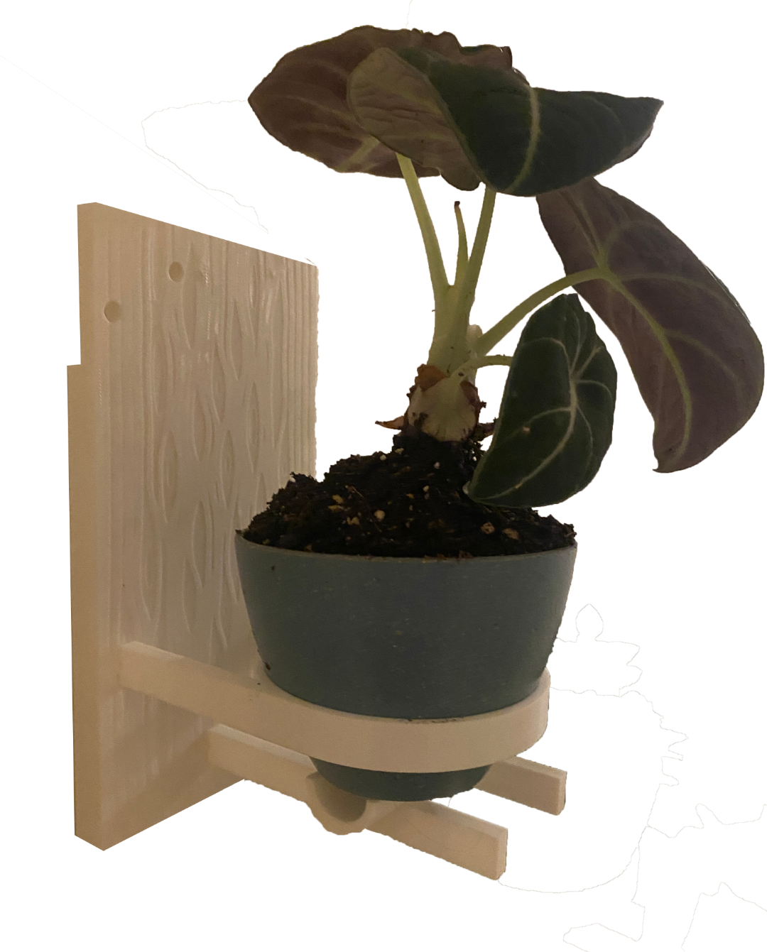Textured Wall Plant Holder