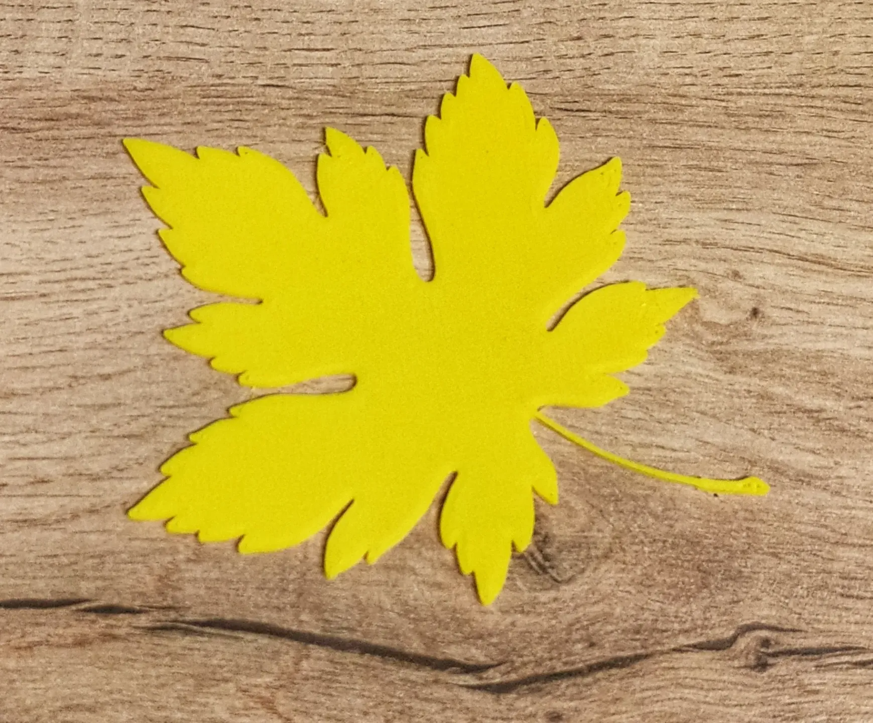 Maple leaf - javorový list