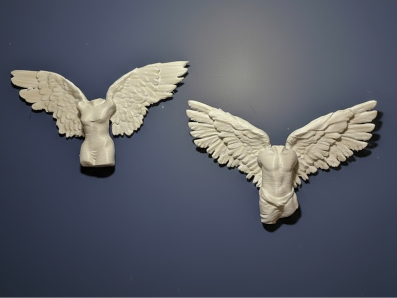 female / male 3D angel wallart with wallmount