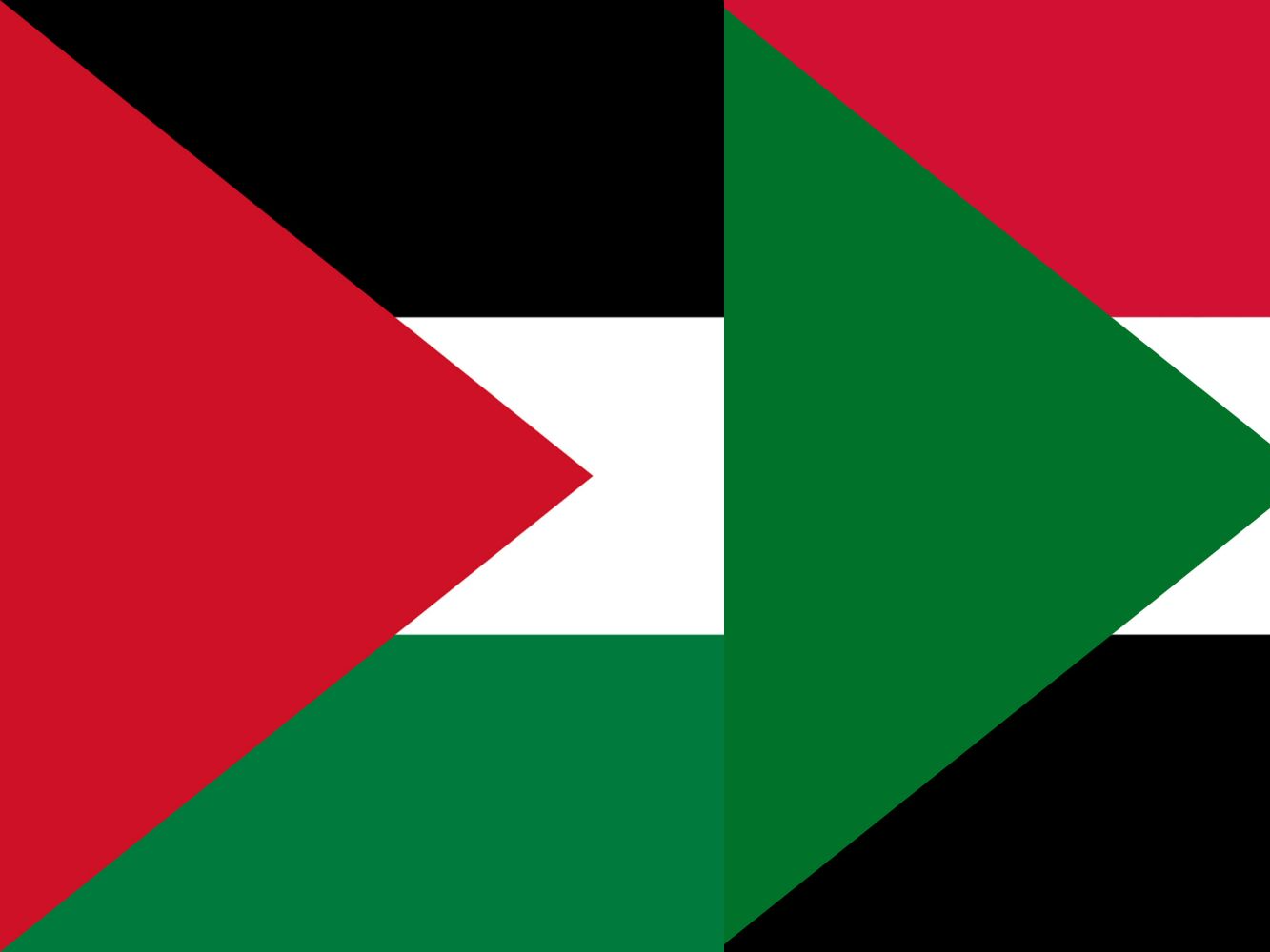 States of Palestine Flag