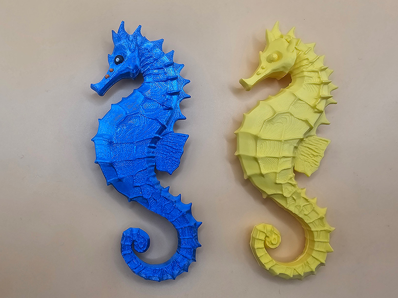 Seahorse
