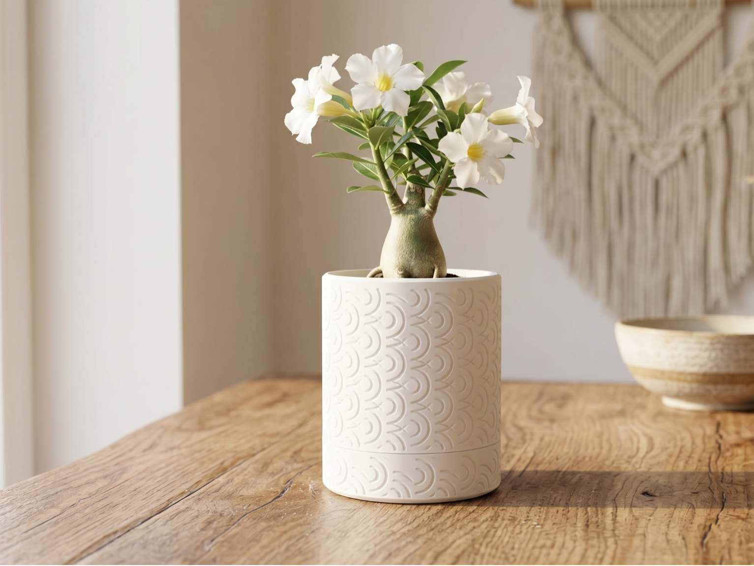 White Scalloped Storage Jar