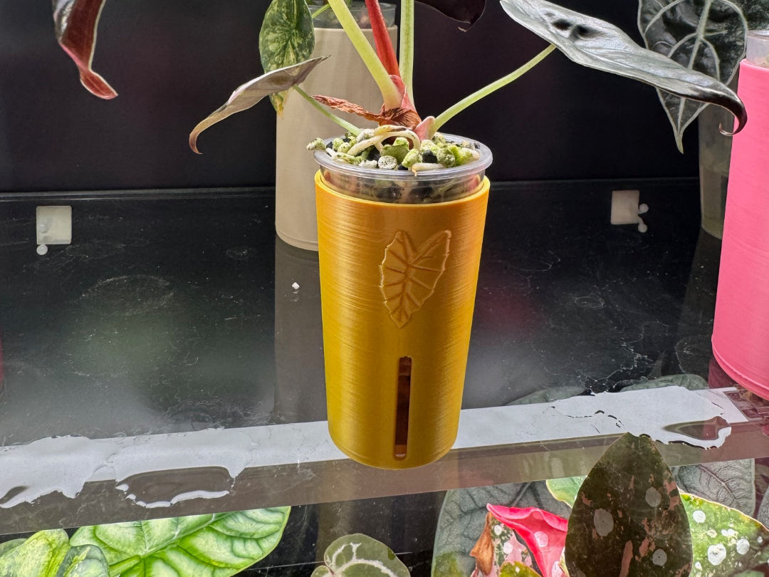 Übertopf für Selbstbewässerung bei Babyplants