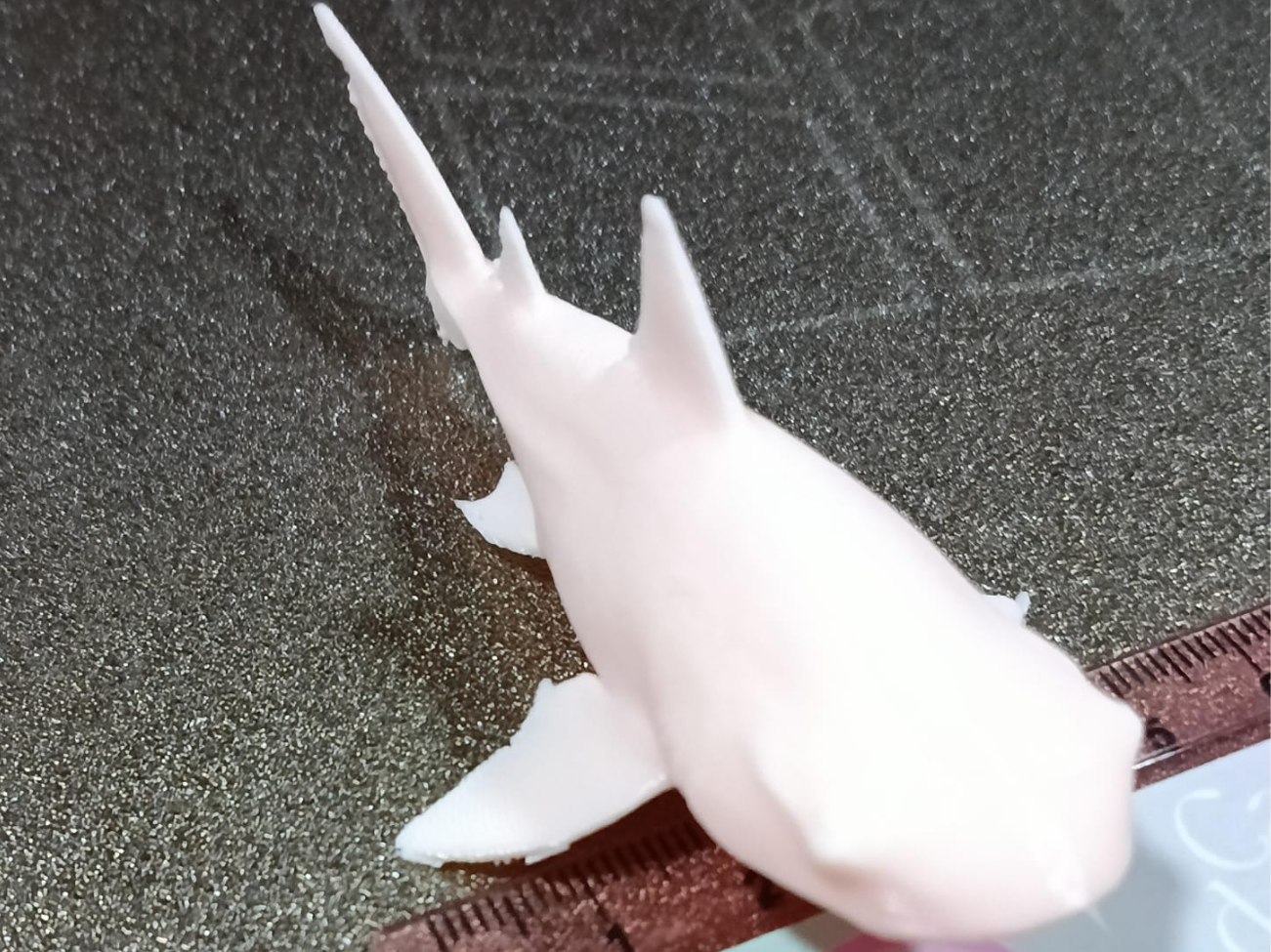 tiburon cabeza de toro