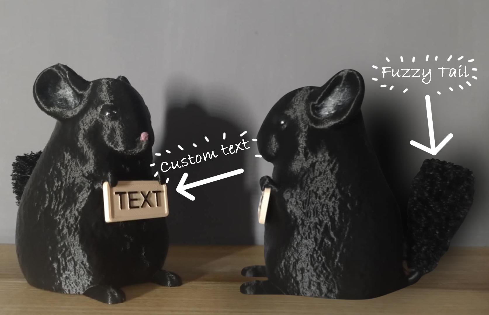 Chinchilla Companion