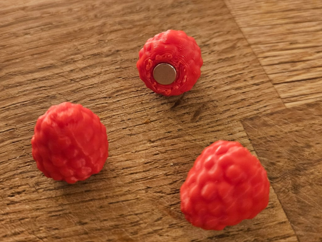 Kühlschrankmagnet Himbeere