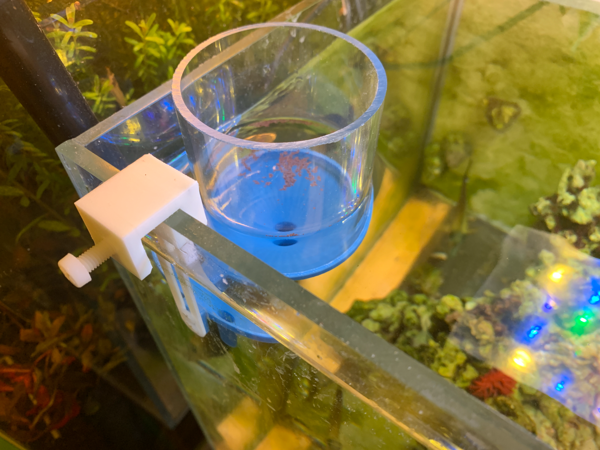 brine shrimp incubator 丰年虾孵化器