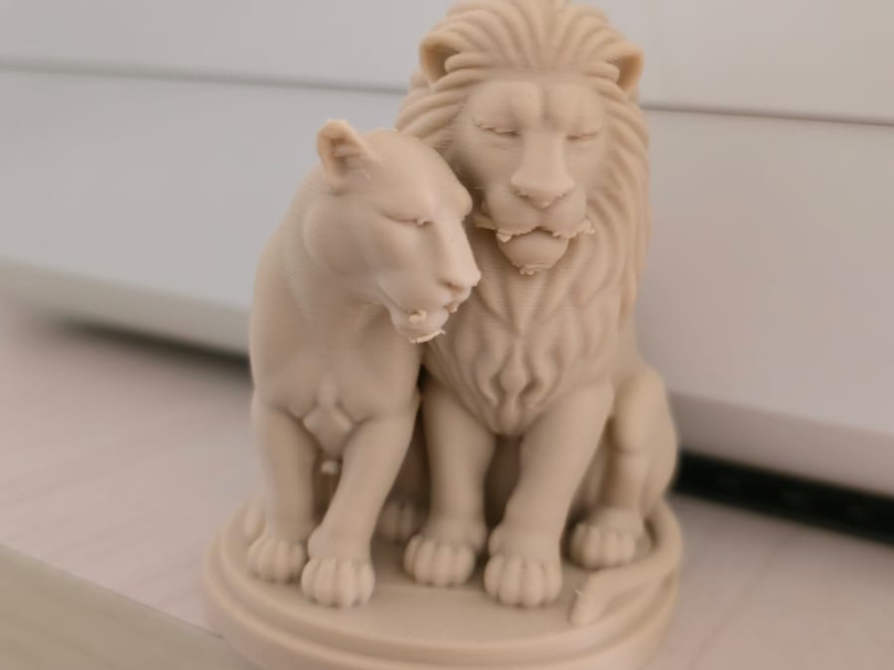 Lion Bond – Majestic Couple Figurine