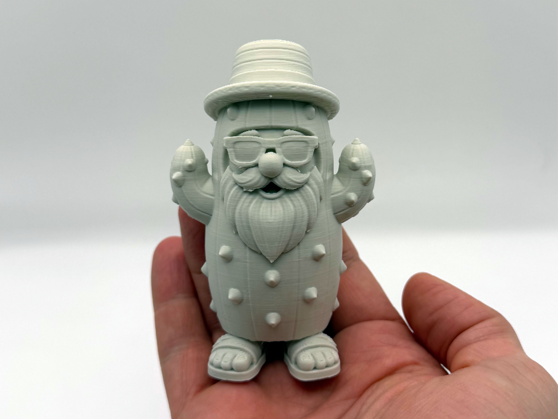 Cacti Dressed Gnome