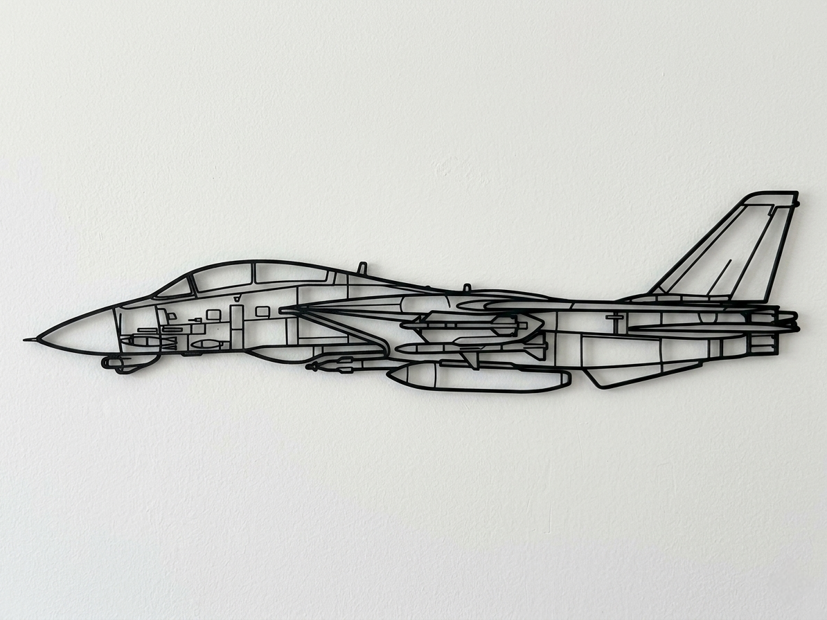 Grumman F-14 Tomcat Wall Art