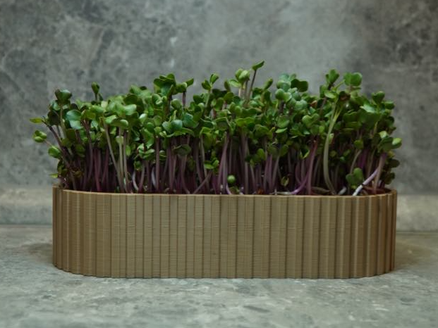 Bio planter