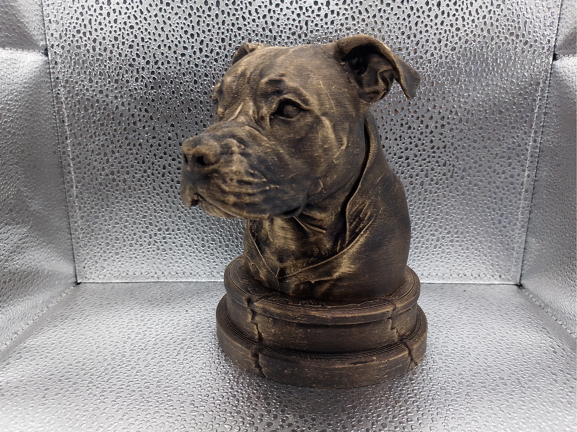Pit Bull Bust