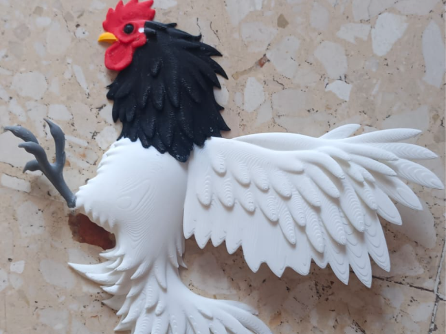 Gallo Blanco