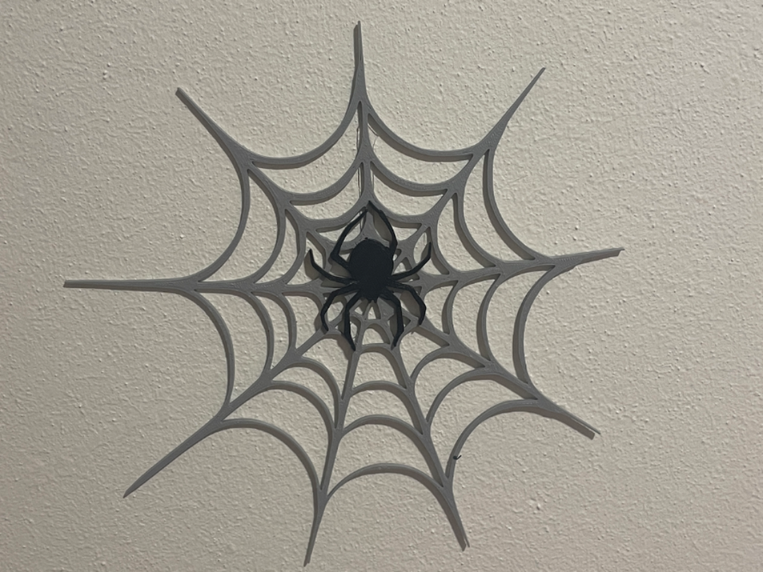 Spider on the web