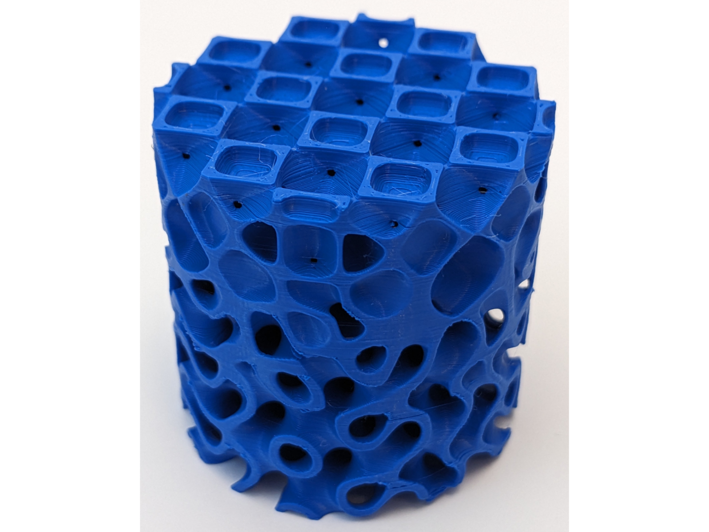 OctoSurface to Gyroid Lattice Transition Cylinder