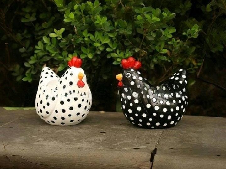 gallina