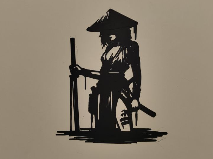 Asian warrior princess wall art