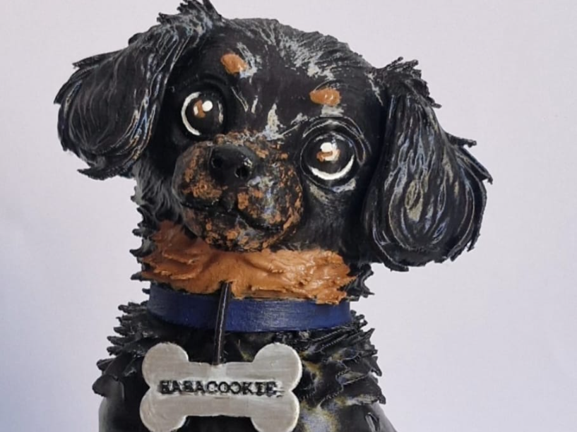 Cachorro