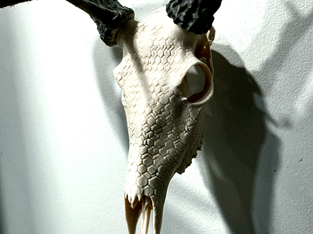 Graphic Skull - Hex - BAS Deer Antler Mount