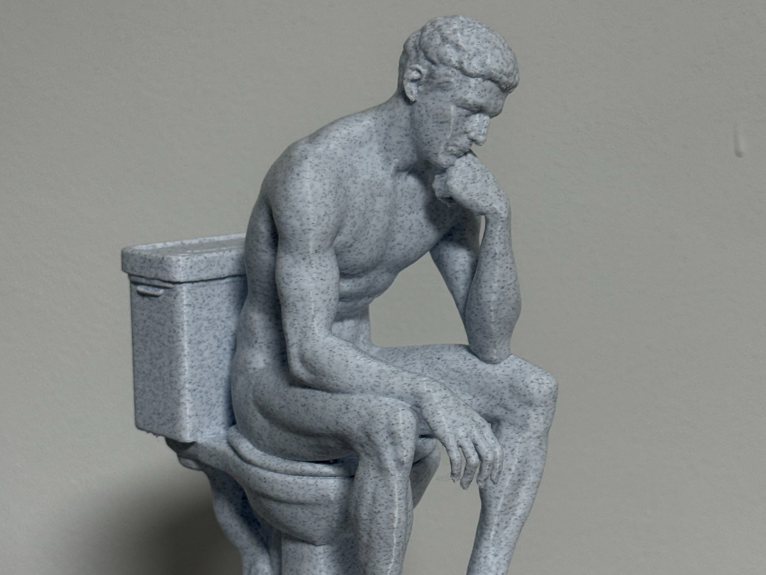 pensatore sul wc