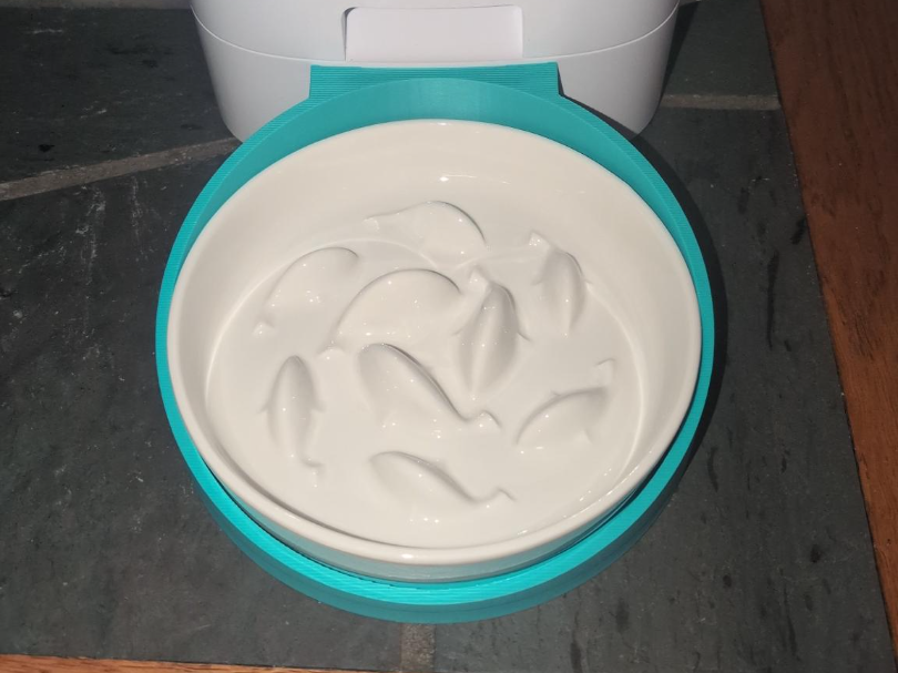 Slow feed bowl