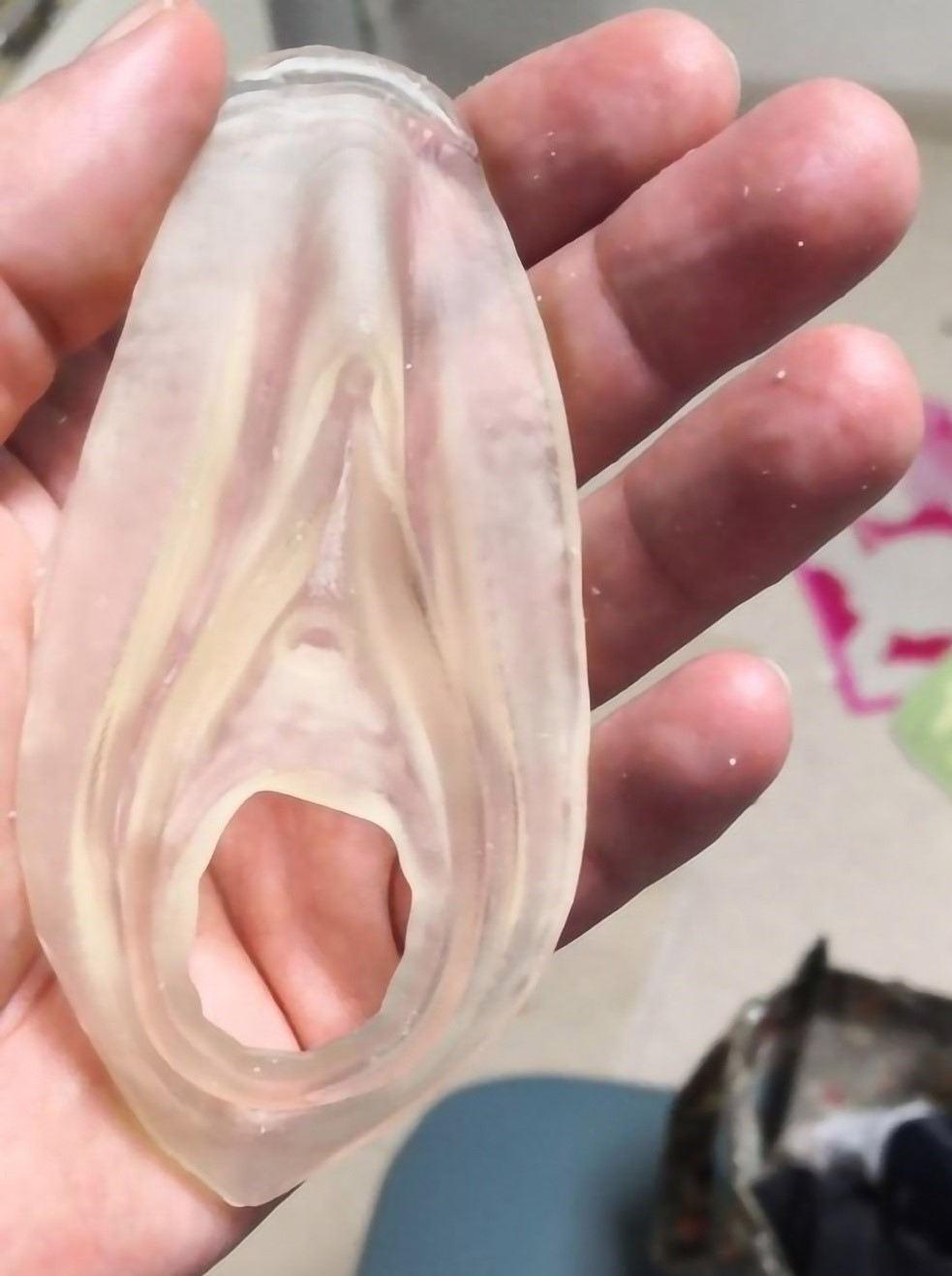 fleshlight pussy