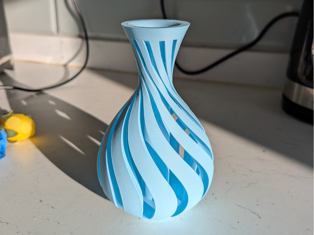 Spiralled Vase (Dry Flowers)