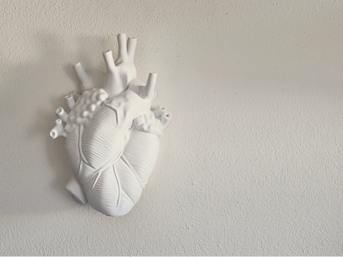 Cuore Anatomico Decorativo da Parete Stile Minimal