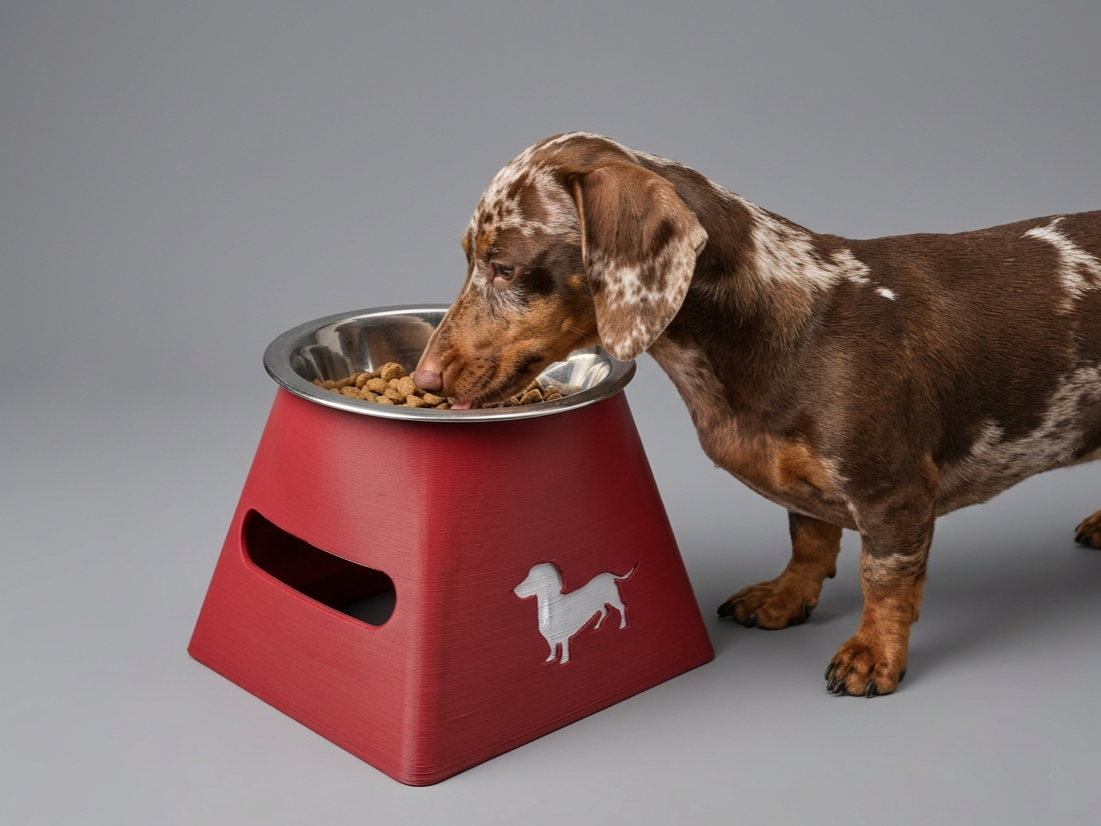 Elevated Dog Bowl Stand — Dachshund Edition