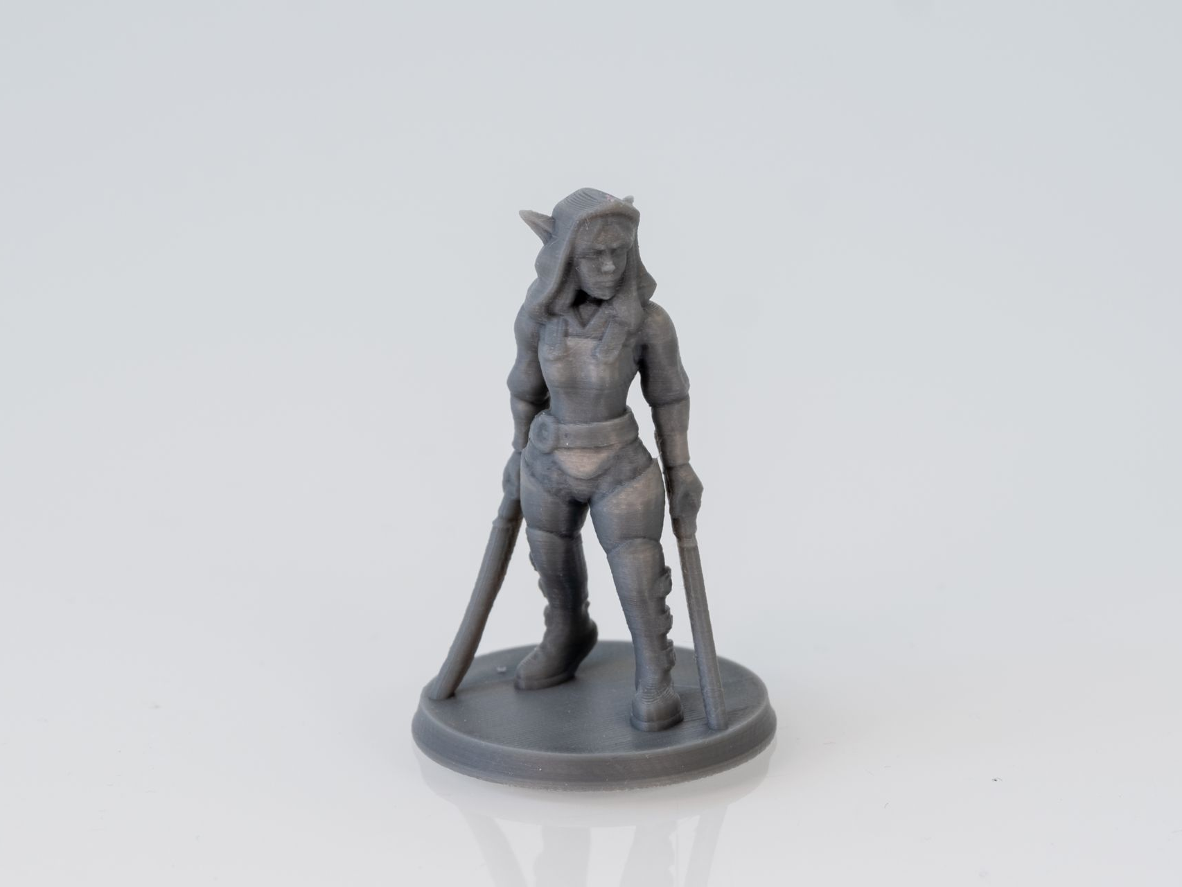 Shi'nae, Elf Dual-Wielding Rogue (Supportless)