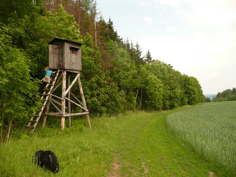 H0 Hunting Lodge