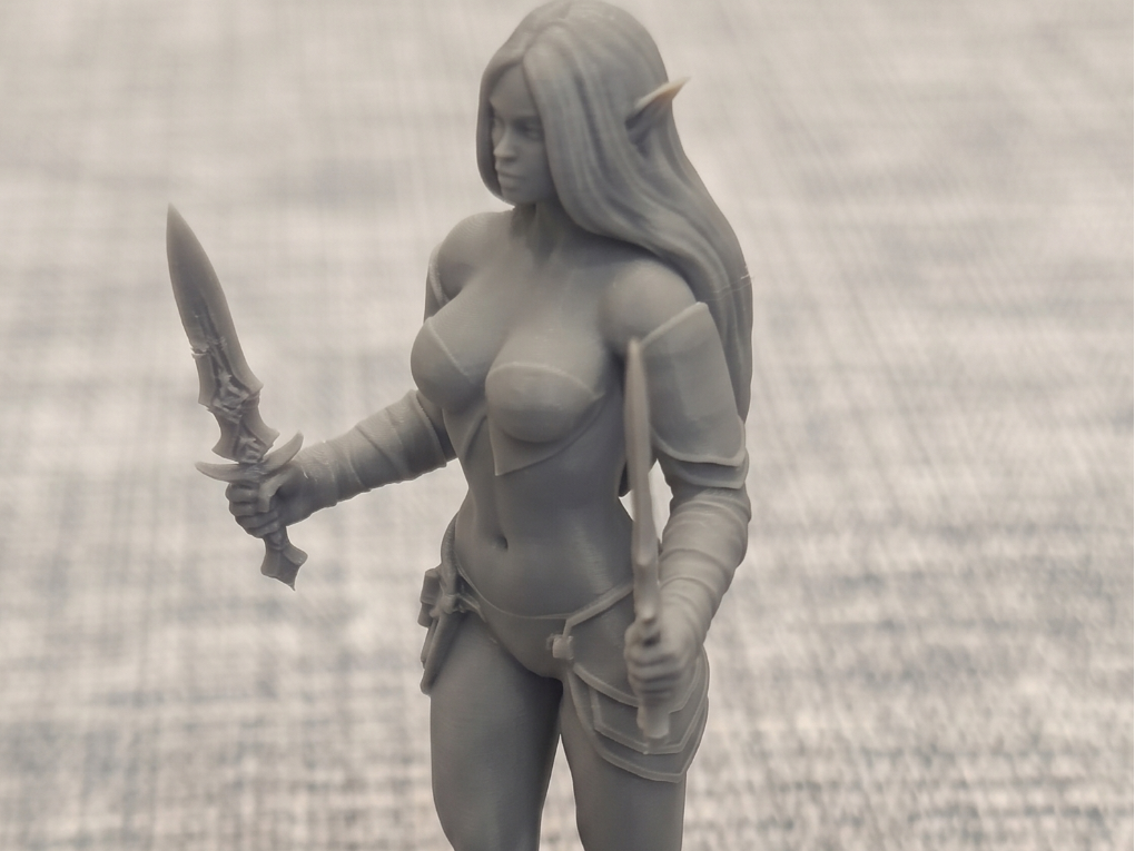 Elven Rogue Warrior