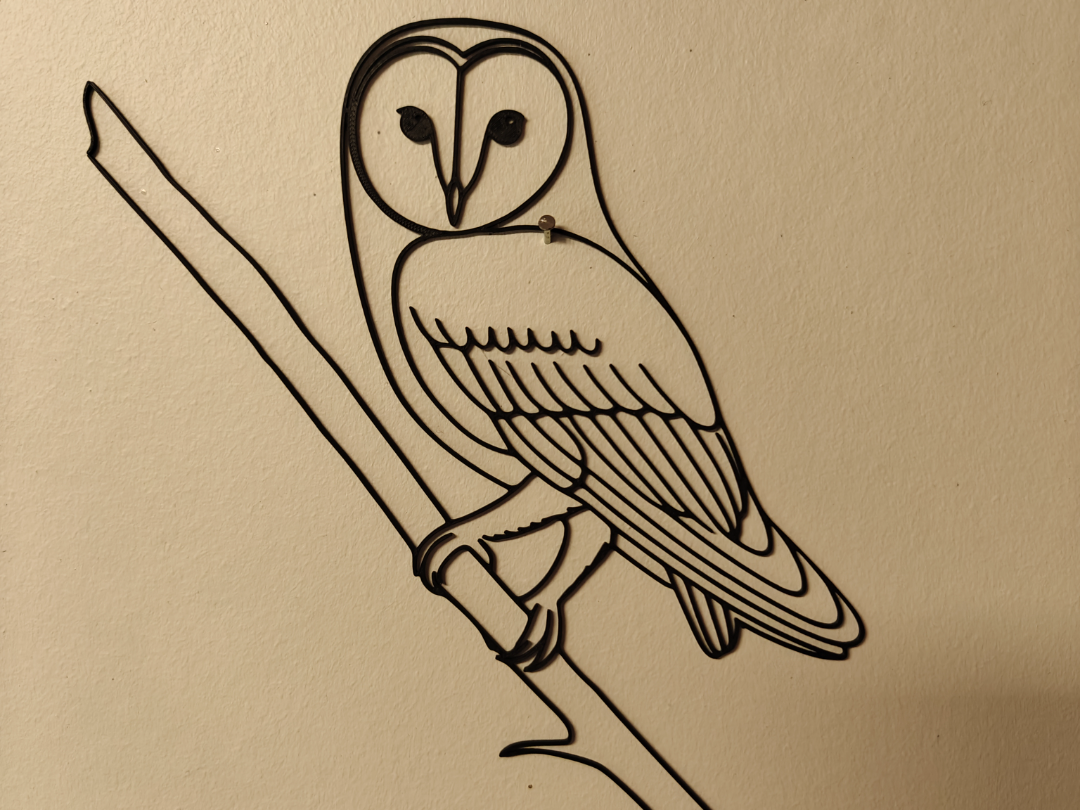Barn owl silhouette