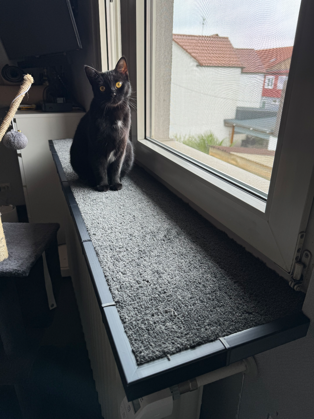 Fensterbank Verkleidung / Katzenteppich / Laminat