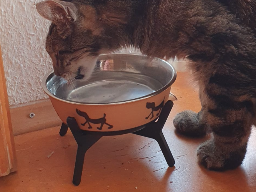 Cat Food Bowl Pedestal | Futternapferhöhung Podest