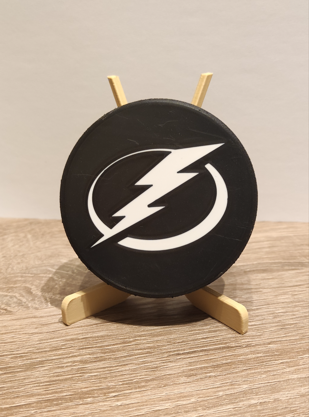 Tampa Bay puck NHL
