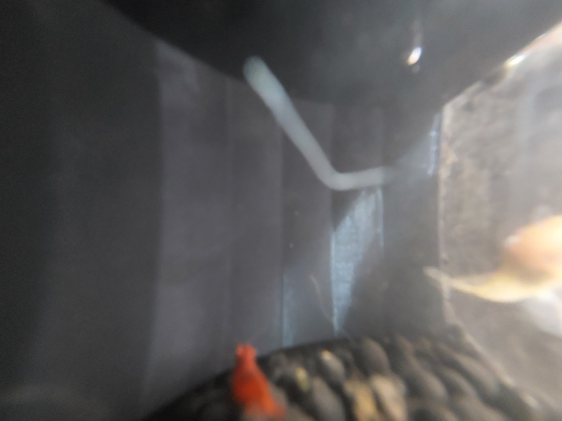 Höhle Aquarium