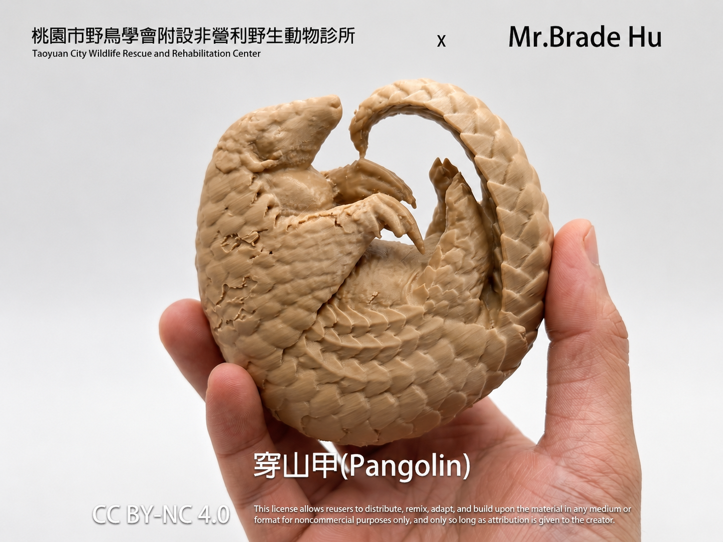 穿山甲 / 3D Scanned Model of a Roadkilled Pangolin