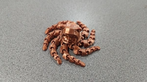 The Ewoktopus